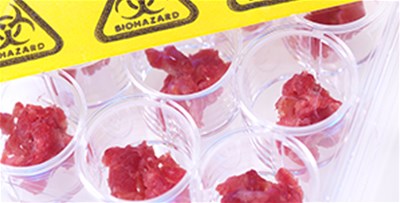 肉類加工行業(yè)金屬異物檢測(cè)